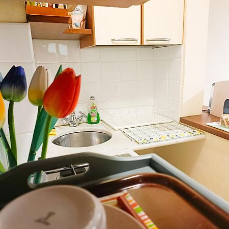 Apartmán Il Giardino Segreto Lucca Exteriér fotografie